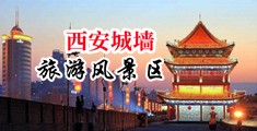 男人把肉棒桶进女人的白虎中国陕西-西安城墙旅游风景区